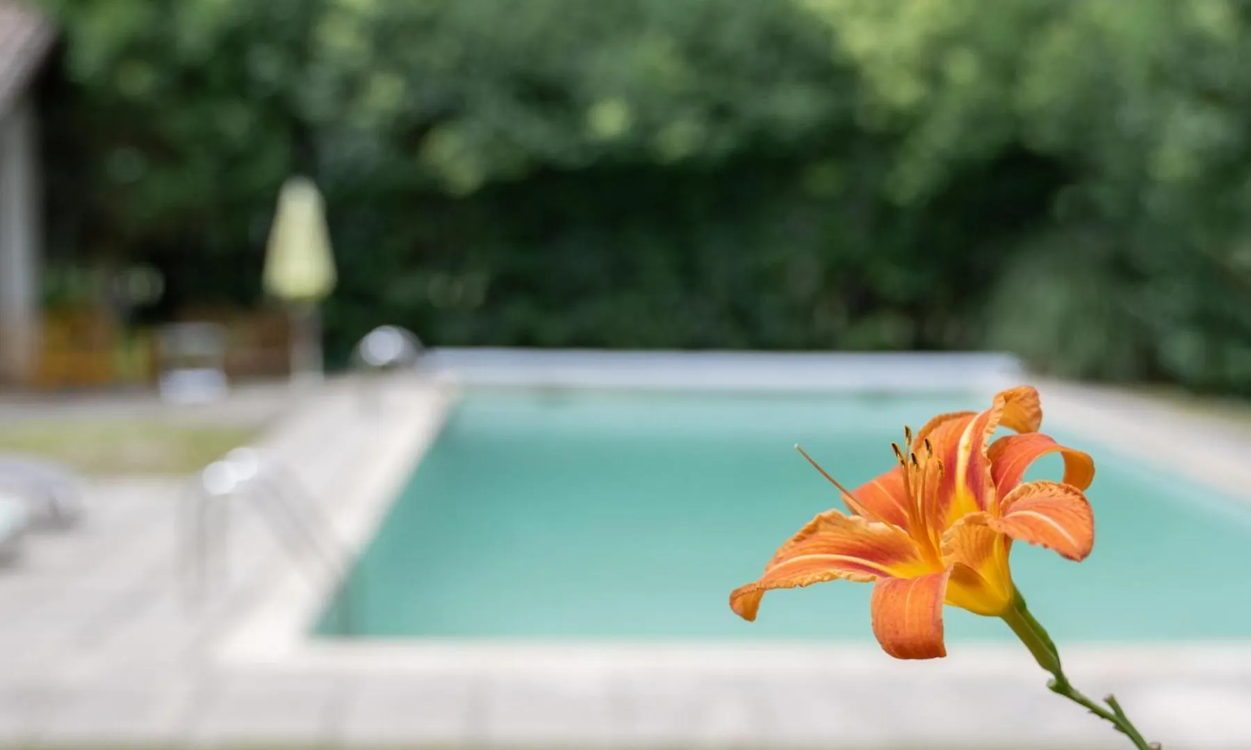 Magnifique Maison Paisible Avec Piscine Jaujac